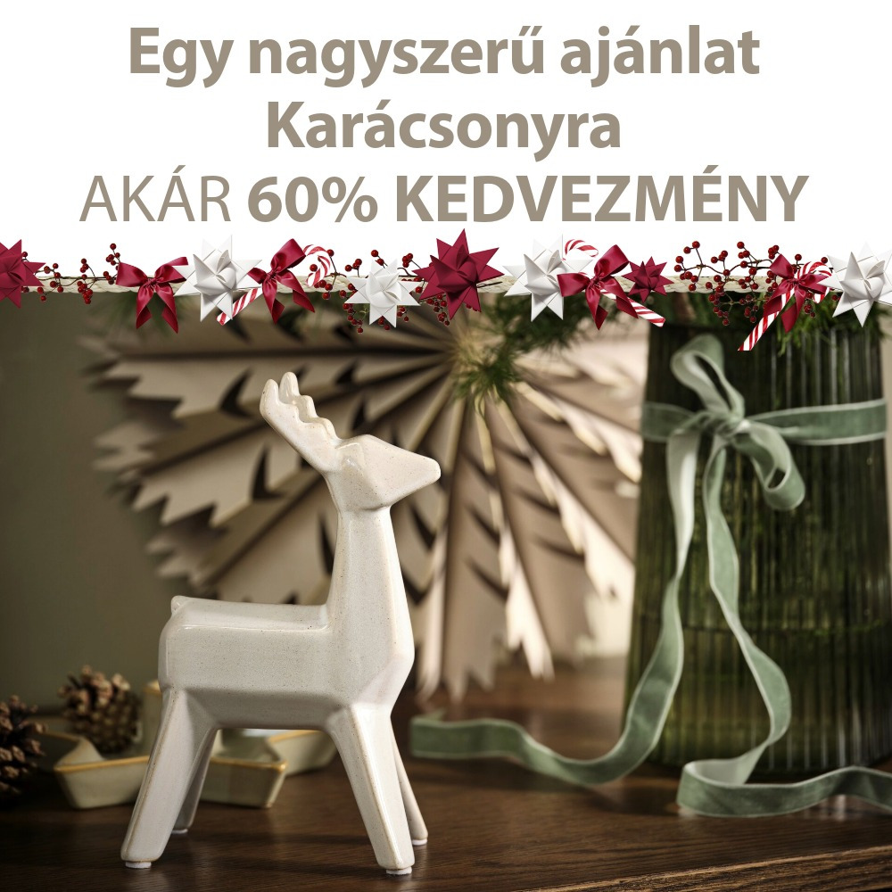 Egy nagyszerű ajánlat Karácsonyra - AKÁR 60% KEDVEZMÉNY Egy nagyszerű ajánlat Karácsonyra - AKÁR 60% KEDVEZMÉNY